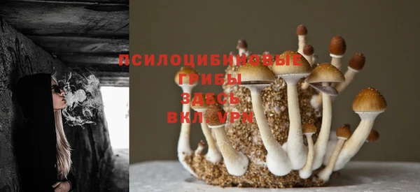 прущая мука Аркадак